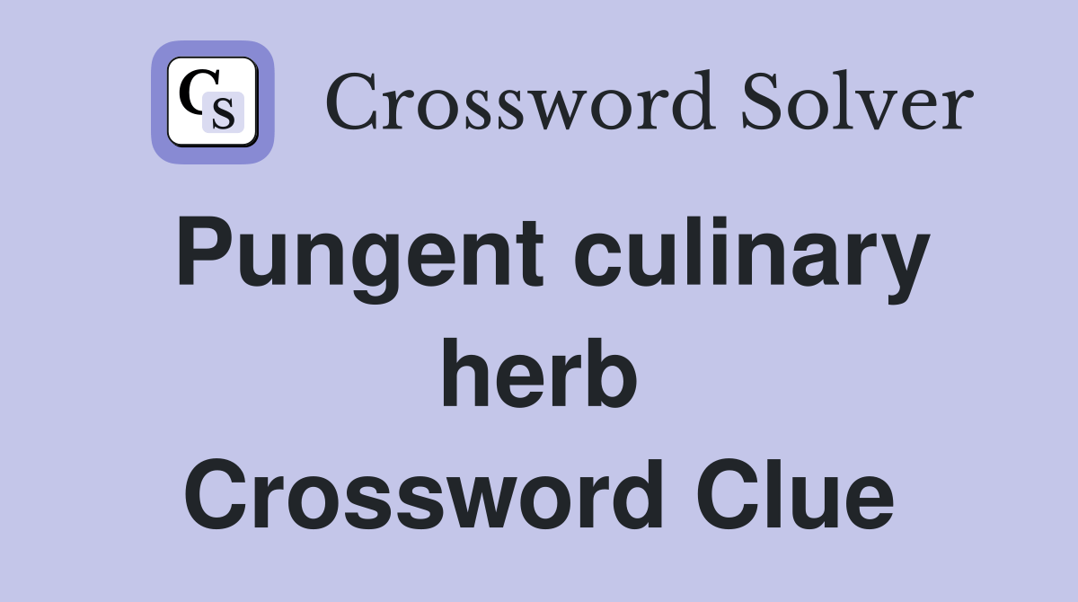 Pungent culinary herb Crossword Clue Answers Crossword Solver